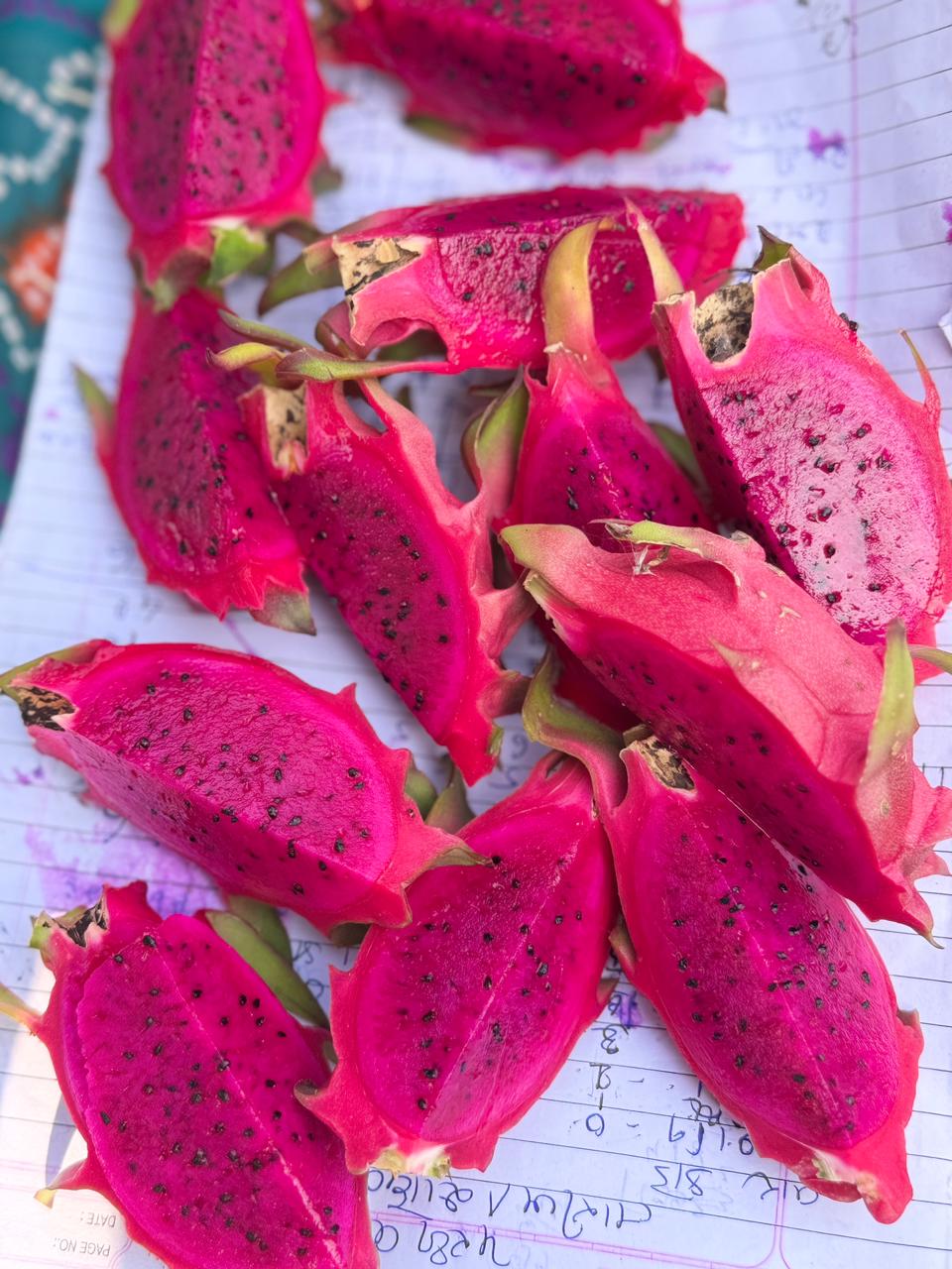 પ્રાકૃતિક ખેતીથી સફળતાની નવી રાહ, હિંમતસિંહ પરમારની પ્રેરણાદાયક સફર - Image 5